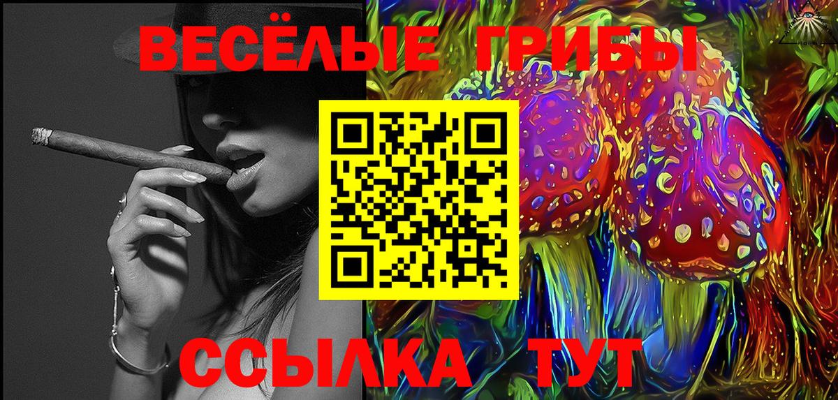 Камень-на-Оби  Псилоцибиновые грибы MAGIC MUSHROOMS  Вход с VPN 